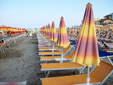 Şemsiyeler