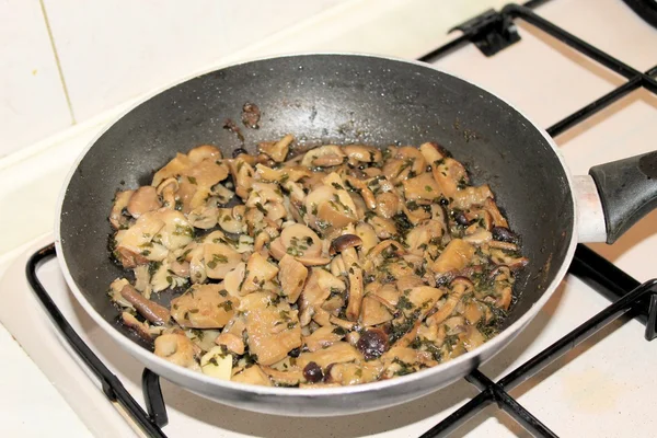 Mushrooms — Stock Photo, Image