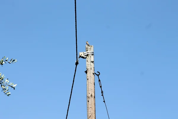 Palo del telefono — Foto Stock