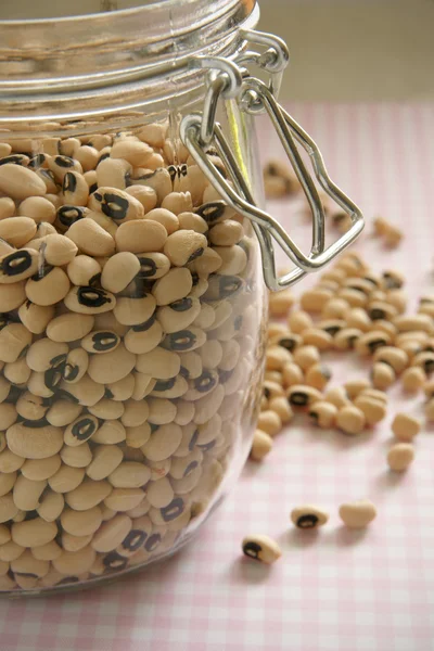 California Blackeye Peas — Stock Photo, Image