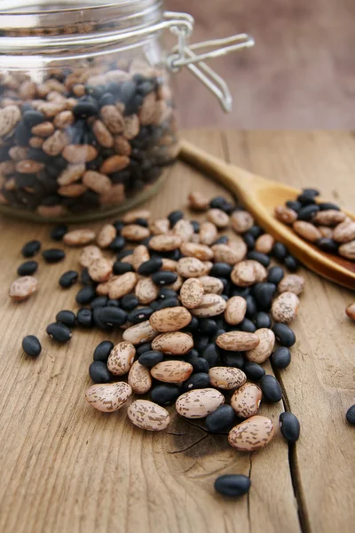 Pinto and Black Turtle Beans — Stock Photo, Image