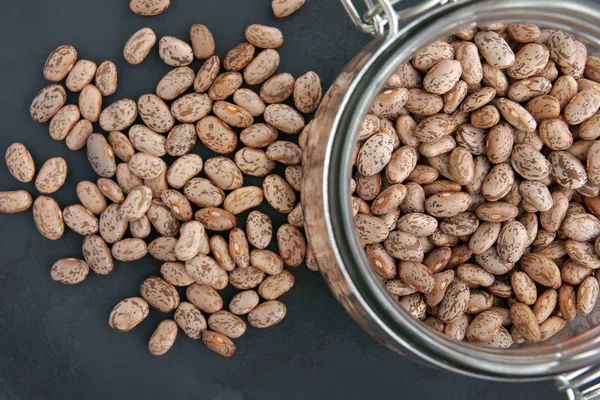 Pinto beans — Stock Photo, Image