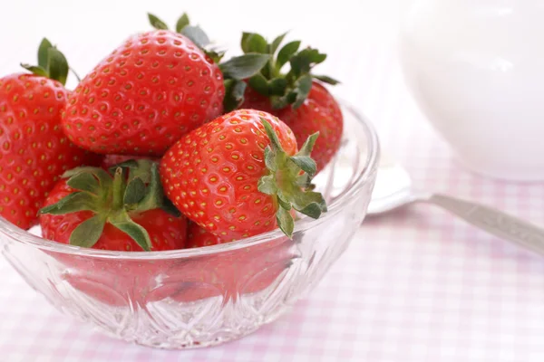 Verse stawberries — Stockfoto