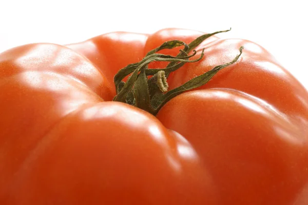 Свежий и пухлый помидор из говядины — стоковое фото