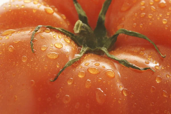 Biefstuk tomaat — Stockfoto