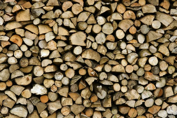 Stack of cut logs — Stock Photo, Image