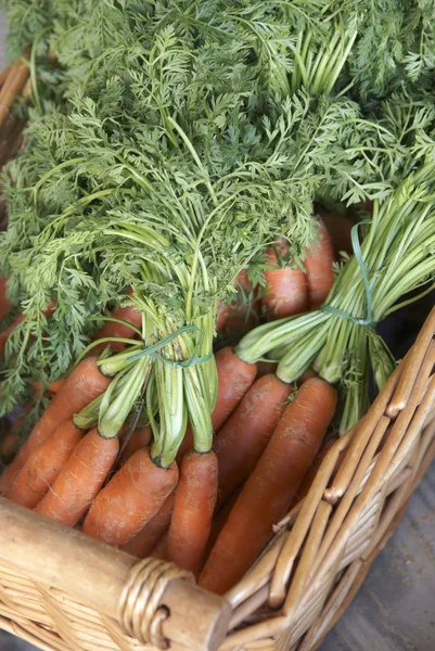 Zanahorias recién cosechadas con sus tapas — Foto de Stock