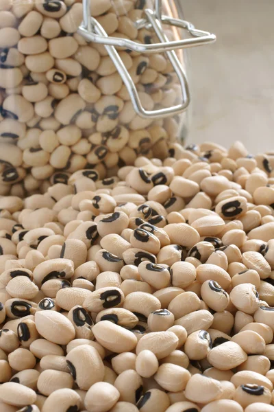 Black eyed peas — Stock Photo, Image