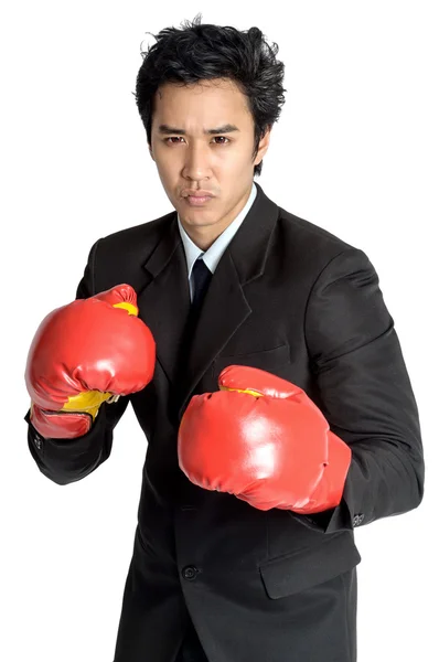 Business man boxing glove suit isolated — Stock Photo, Image
