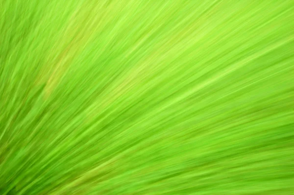 Uno sfondo verde sfocato Foto Stock