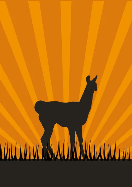 Lama silueti