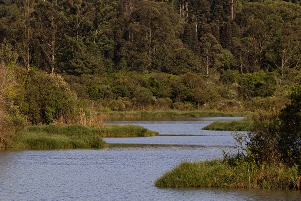 Ein Sich Windender Fluss Fließt Durch Die Aue Entlang Des — Stockfoto