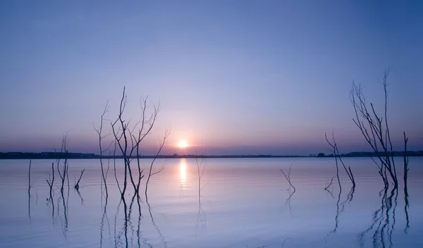 güzel gün batımında d'Island, Malezya