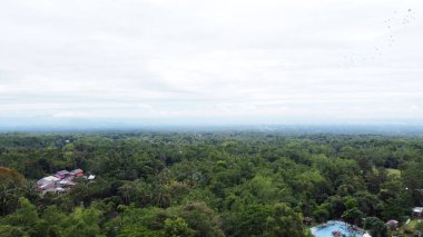 Dağlardaki orman manzarası Bulutlu gökyüzü