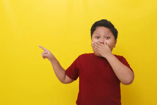 Yanında Durup Bir Şey Işaret Ederken Asyalı Bir Çocuğun Ifadesi — Stok fotoğraf