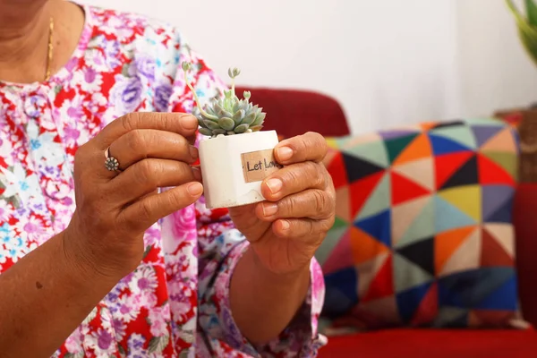 Закройте Телефон Пожилой Женщины Ухаживающей Горшечными Растениями Дома — стоковое фото