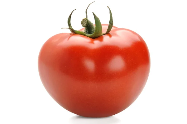 Fresh & Tomato — Stock Photo, Image