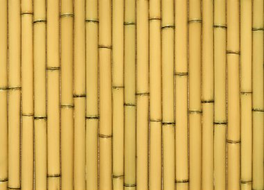 Asian bambu arka plan