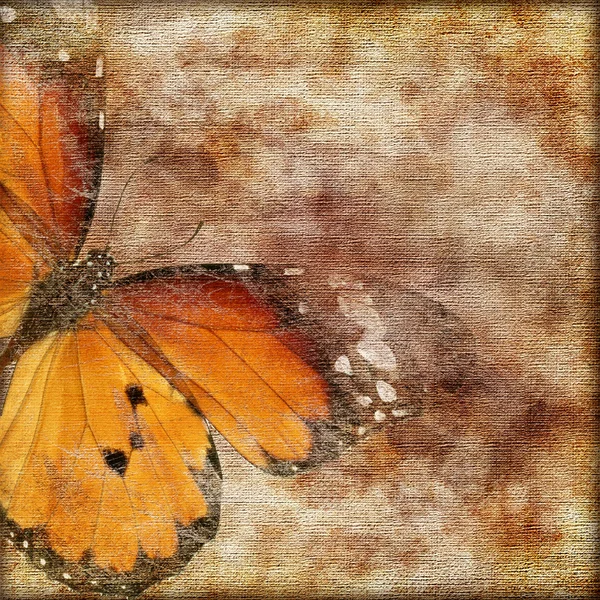 Kelebek dekoratif arka plan — Stok fotoğraf