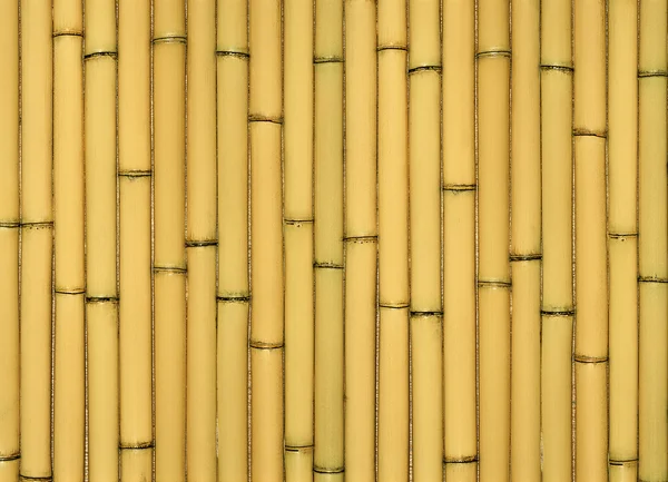 Asian bambu arka plan