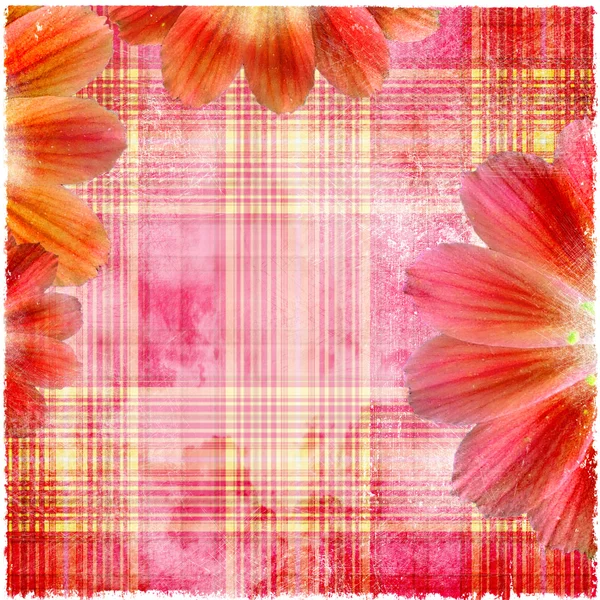 Papel floral vintage con marco o lugar para texto — Foto de Stock
