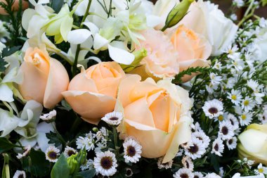 Güller ve diğer güzel çiçekler