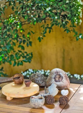 yeşil renkli tropikal natürmort