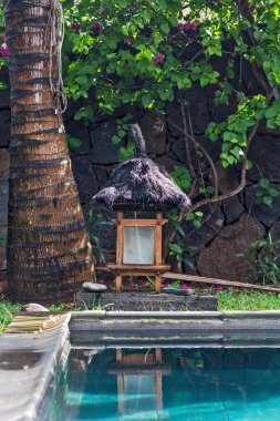 palmiye ağacı, fener ve bir Yüzme Havuzu
