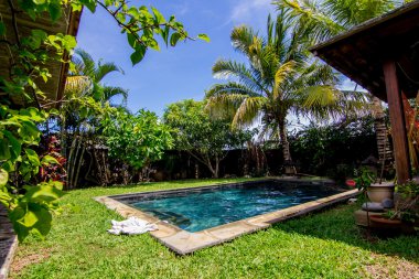 Yüzme Havuzu ve arka bahçesinde palmiyeler