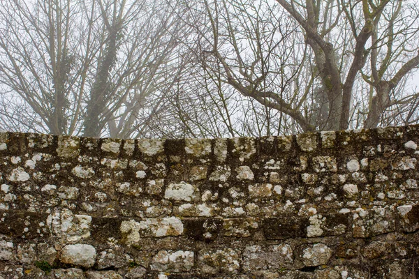 Parede de tijolo do castelo — Fotografia de Stock