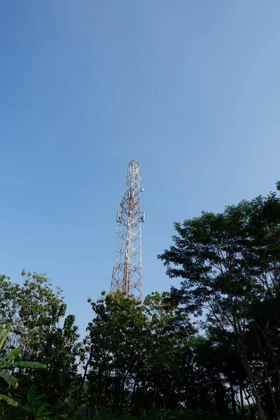 具有天空背景树的互联网提供商塔 — 图库照片