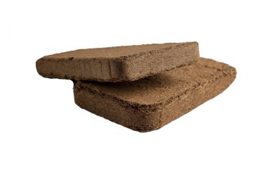 Evde bahçıvanlık. Beyaz arkaplanda hindistan cevizi sütunuName.