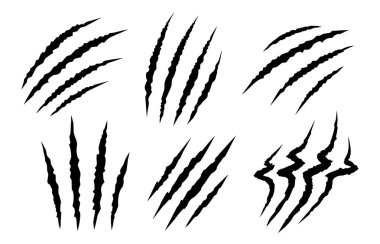 Set of animal silhouette claw paw marks, scratches, talons cuts cat, tiger, dog, lion, monster isolated on white background. Vector flat illustration. Design for animal print, banner, poster 
