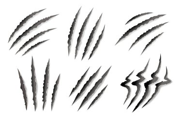 Set of animal claw paw marks, scratches, talons cuts cat, tiger, dog, lion, monster isolated on white background. Vector realistic illustration. Design for animal print, banner, poster 