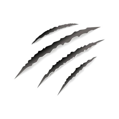 Animal claw paw marks, scratches, talons cuts cat, tiger, dog, lion, monster isolated on white background. Vector realistic illustration. Design for animal print, banner, poster 