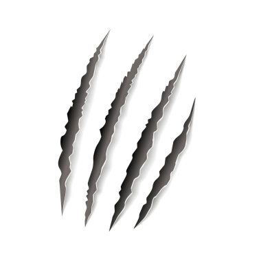 Animal claw paw marks, scratches, talons cuts cat, tiger, dog, lion, monster isolated on white background. Vector realistic illustration. Design for animal print, banner, poster 