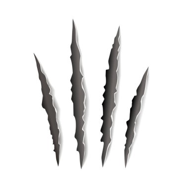 Animal claw paw marks, scratches, talons cuts cat, tiger, dog, lion, monster isolated on white background. Vector realistic illustration. Design for animal print, banner, poster 