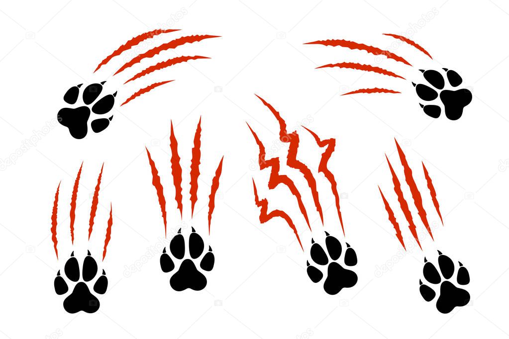 Set of animal paw print silhouette with red claw marks, scratches, talons cuts cat, tiger, dog, lion, monster isolated on white background. Vector flat illustration. Design for animal print, banner