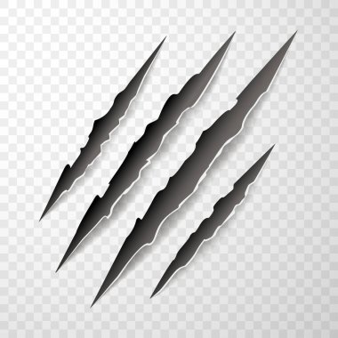 Hayvan pençesi izleri, tırmalamalar, pençeler kediyi, kaplanı, köpeği, aslanı, izole edilmiş canavarı keser. Vektör gerçekçi illüstrasyon. Hayvan baskısı, afiş, poster tasarımı 