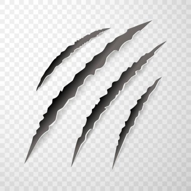 Hayvan pençesi izleri, tırmalamalar, pençeler kediyi, kaplanı, köpeği, aslanı, izole edilmiş canavarı keser. Vektör gerçekçi illüstrasyon.