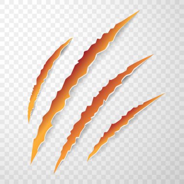 Hayvan pençe izlerinin turuncu rengi, çizikler, pençeler kedi, kaplan, köpek, aslan, canavar izole edilmiş. Vektör gerçekçi illüstrasyon.