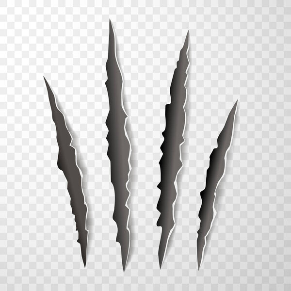 Animal claw paw marks, scratches, talons cuts cat, tiger, dog, lion, monster isolated. Vector realistic illustration.