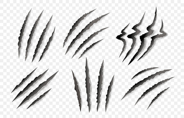 Set of animal claw paw marks, scratches, talons cuts cat, tiger, dog, lion, monster isolated 