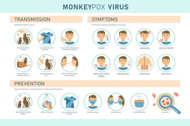 Monkeypox virus transmission, symptoms and prevention infographics with icons. Vector flat illustration for medical concept. Design for banner, poster, flyer.