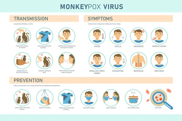 Monkeypox Virus Transmission Symptoms Prevention Infographics Icons Vector Flat Illustration — Stock Vector