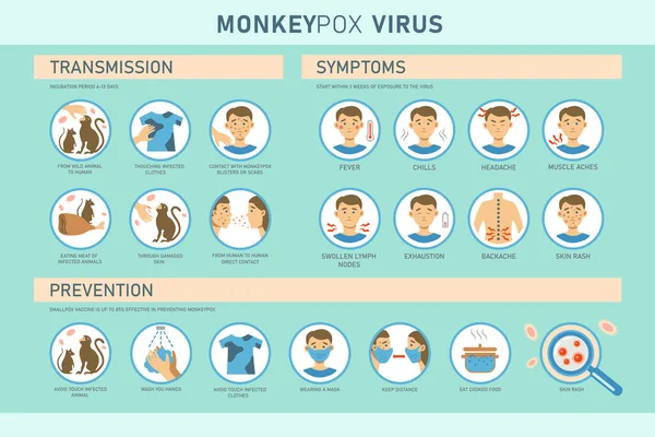 Monkeypox Virus Transmission Symptoms Prevention Infographics Icons Vector Flat Illustration — Vettoriale Stock