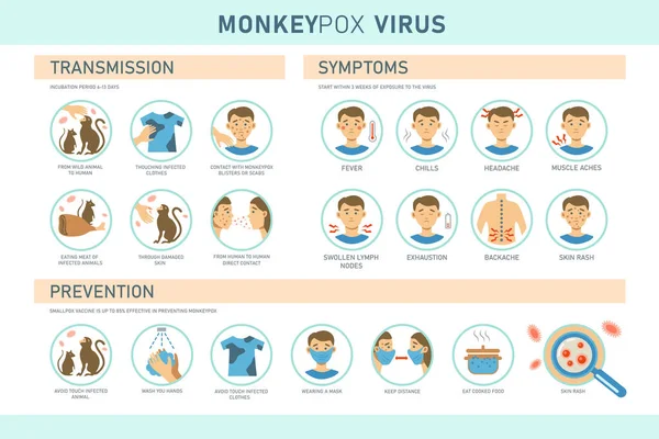 Monkeypox Virus Transmission Symptoms Prevention Infographics Icons Vector Flat Illustration Stock Illusztrációk