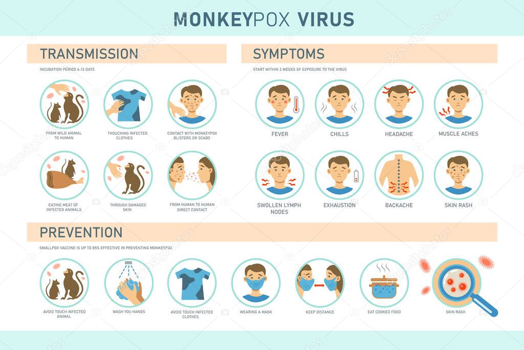 Monkeypox virus transmission, symptoms and prevention infographics with icons. Vector flat illustration for medical concept. Design for banner, poster, flyer.