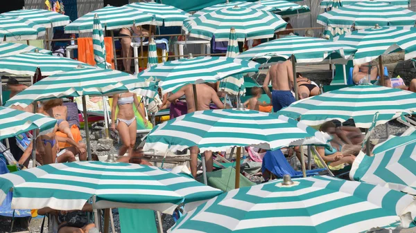 Vida na praia sob os guarda-chuvas — Fotografia de Stock