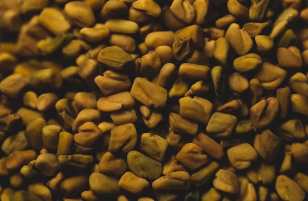 Fenugreek Seeds Macro Close Portrait Black Background — Stock Photo, Image